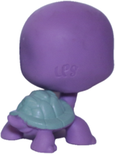 #2-53 Turtle "Meg Turtell"